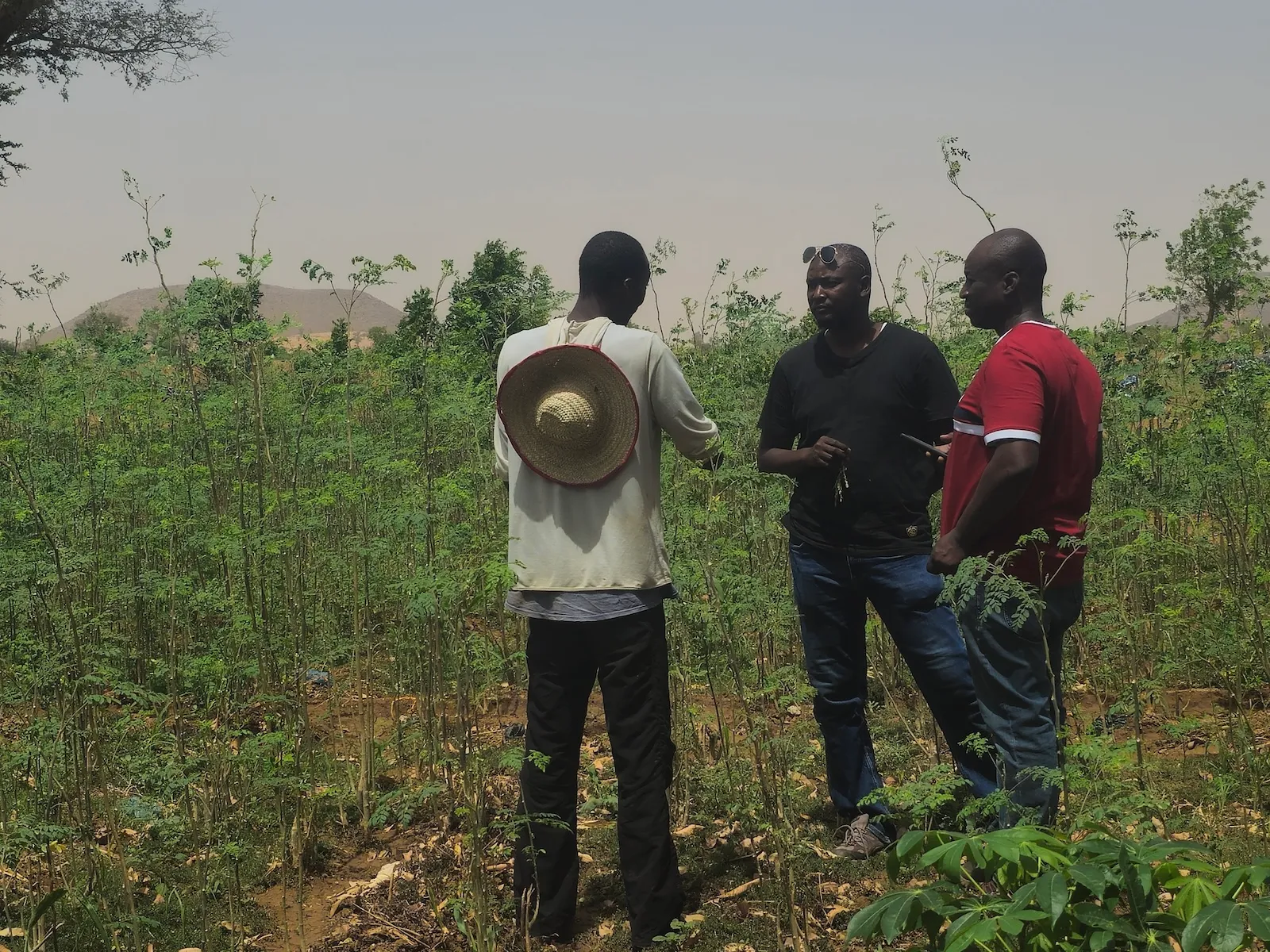 News: Inside the ‘America First’ makeover of a global hunger program