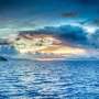 News: Blue carbon: Unearthing the ocean's own climate fix