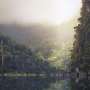 Air Quality News: Japan's biomass energy boom threatens further deforestation in Indonesia