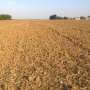 News: Temperature measurement error may cause climate-impact studies to understate impacts by 15% or more