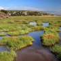News: Rising seas are inundating US coastal wetlands, putting many on track to become open water