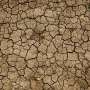 News: Sixth year of drought in Texas and Oklahoma leaves ranchers bracing for another harsh summer