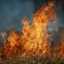 News: First Nations women in fire: A vital opportunity to boost the workforce and increase community safety