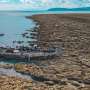 Air Quality News: Deadly Philippines quake turns seabed into shore