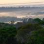 Dubai Air Quality News: Amazon rainforest flipped to carbon source during 2023 extreme drought, study shows