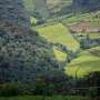 News: Smarter land use could unlock biodiversity, climate and economic gains across 146 countries