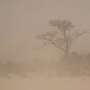 News: Airborne desert dust may warm climate far more than expected, new analysis shows