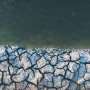News: Report links biodiversity collapse to risks for financial systems and food security