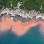 News: Extreme rainfall is worsening algal blooms along South Korea's coast
