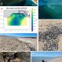 News: Flooding rains, ocean gains: How a huge Murray flood gave the sea a feast