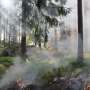 Air Quality News: When disaster crosses borders, Indonesia's credibility is tested twice