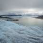 News: Fungi help lock carbon into Arctic fjord sediments