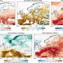 Dubai Air Quality News: Warming may slow forest growth and cut carbon storage by 30%, model shows