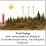 Air Quality News: Heat waves increase wildfire risk—a new study explains how much, and it's not a small number
