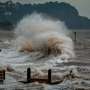 News: Hurricane storm surge follows predictable patterns, study finds