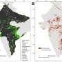 Air Quality News: India gained 2.1 million hectares of dry woodland in a decade, major study finds