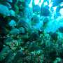 News: Marine carbon dioxide removal is advancing, but questions remain about viability, says new digital report