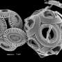 News: Microscopic plankton reveal tropicalization of the Mediterranean Sea