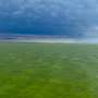 Air Quality News: Moderate harmful algal bloom predicted for western Lake Erie. Could impact coastal recreation by mid-July