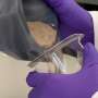 News: Molecular fossils reveal secrets of Earth's recovery from ancient global warming event