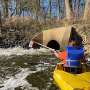 News: Monitoring reveals elevated antidepressant levels in some waterways