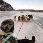 News: Greenland's west coast posts warmest January on record