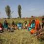 News: What women's work songs reveal about the changing climate