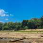 News: Water isotopes reveal early drought signals in Central Amazon rainfall
