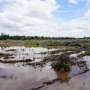 Air Quality News: Study reveals peatlands may have less capacity to store carbon than predicted