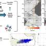 News: West African coast emerges as key source of microlitter in the South Atlantic Ocean