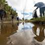 News: 'What's in it for me?' People more likely to help the environment when it benefits them