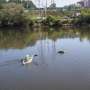 Air Quality News: When the Schuylkill swallowed the city: Lessons from Hurricane Ida's historic flood